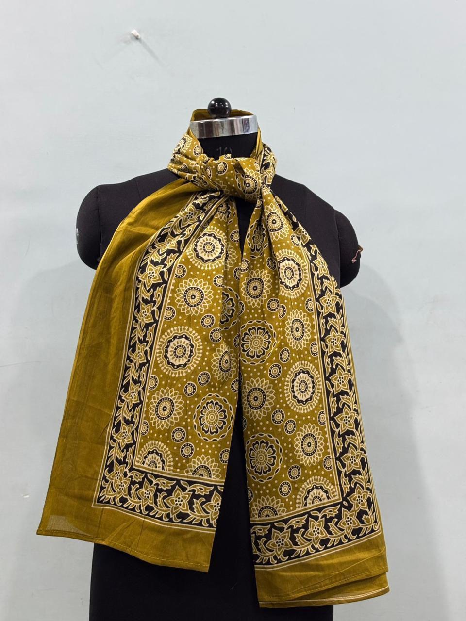 Pariyo | Premium Bagru Handcrafted Cotton